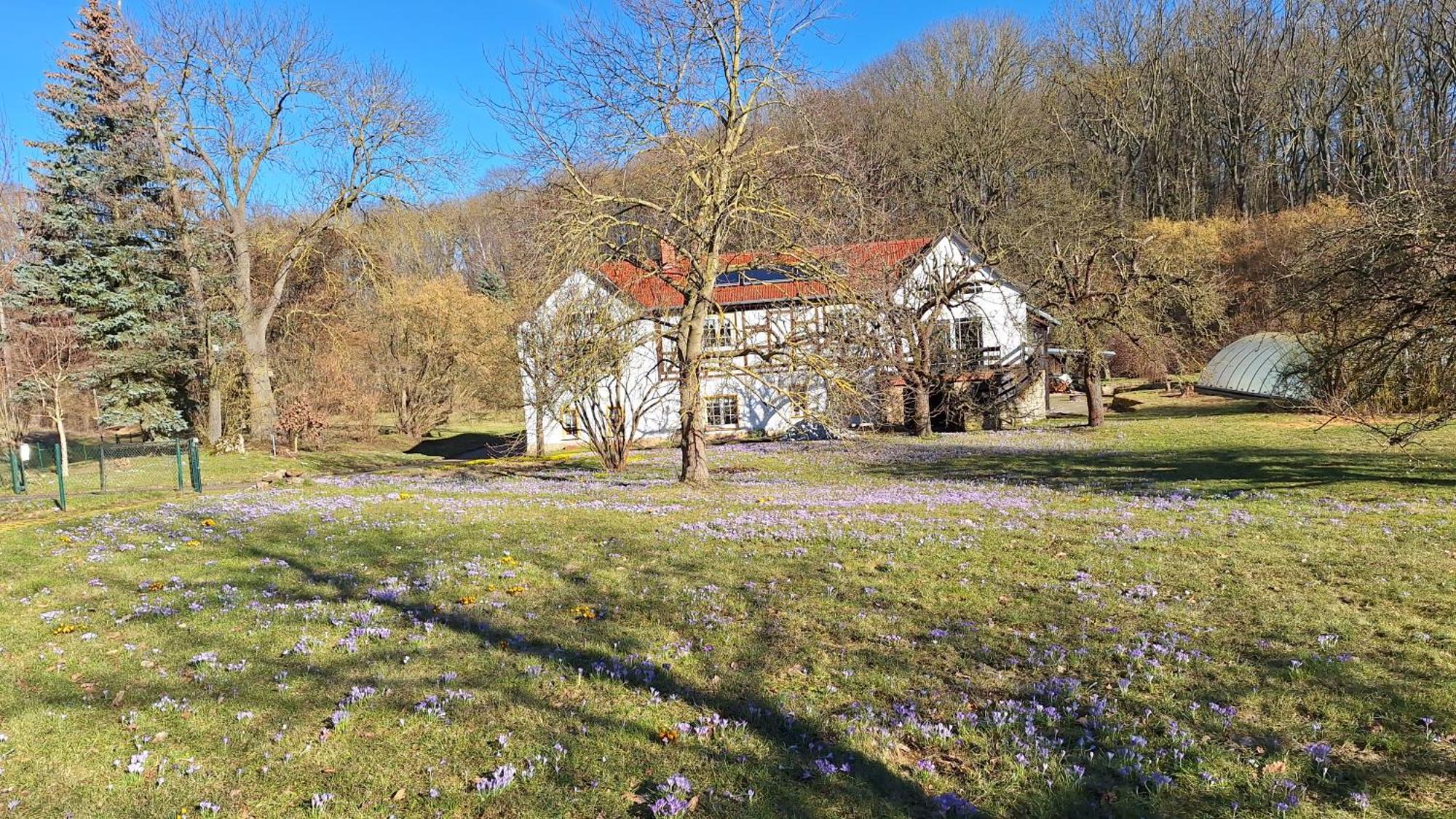 Ferienwohnung Obermuehle Ballstädt Kamer foto