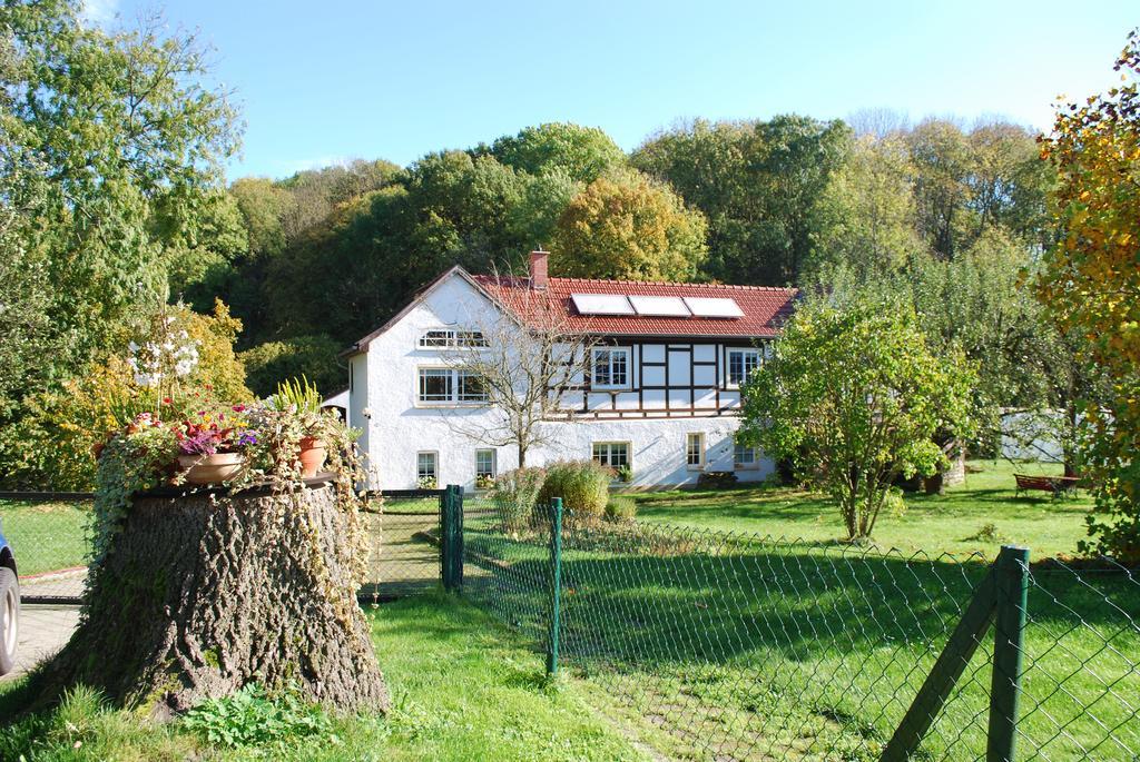 Ferienwohnung Obermuehle Ballstädt Kamer foto